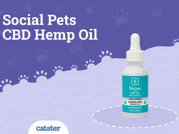 Social Pets CBD Hemp Oil Review (2026): Pros, Cons & Verdict