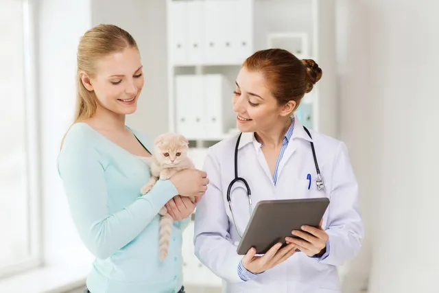 What Exactly Is Osteochondrodysplasia in Cats? Our Vet Explains the Causes, Signs & Care