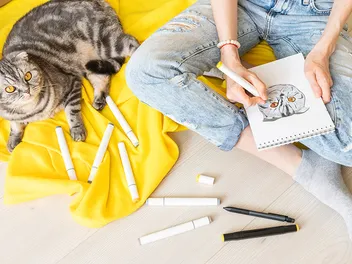 How to Draw Cats: Our Vet-Approved Step-by-Step Guide