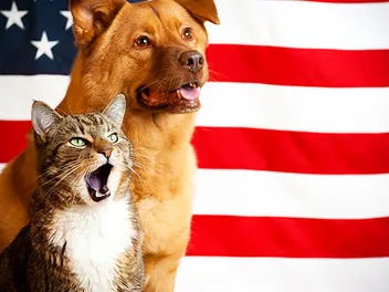 A One-Day Event Trains Animal Lovers to Give Pets Political Voice