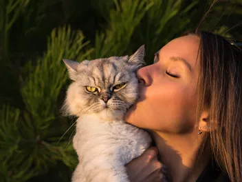 Does My Cat Hate Me? Signs, Causes & What to Do About It (Vet-Verified)