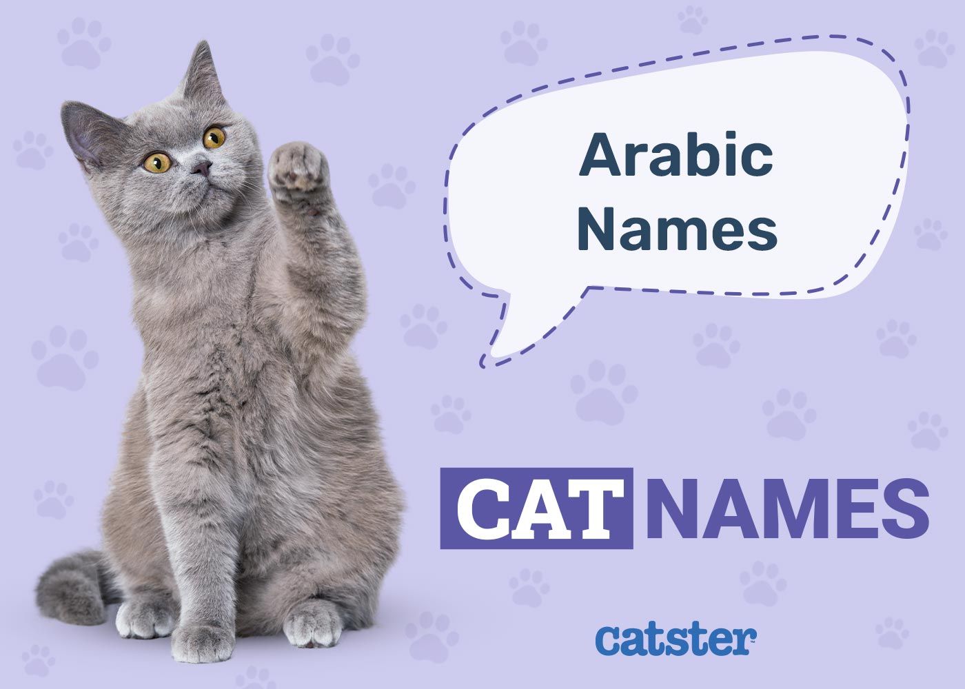 Arabic Cat Names