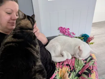 What Cat Paralysis?! Dr. Karyn's Lap Lovers
