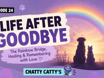 Chatting About the Rainbow Bridge, Euthanasia, and Laughter During Grief  | Chatty Cattys, Episode 24