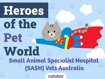 Small Animal Specialist Hospital (SASH) Vets Australia | Heroes of The Pet World