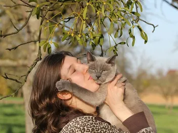 National Cat Health Month 2026: How & When Is It Celebrated?