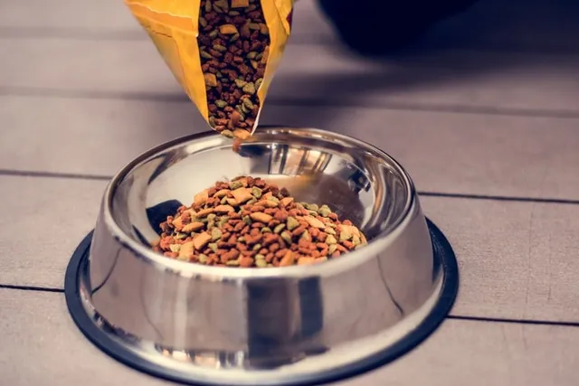 How to Store Dry Cat Food Long Term: 8 Vet-Approved Tips