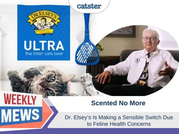 Scented No More: Dr Elsey's Cat Litter Makes a Sensible Switch