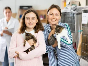 How to Choose a Cat to Adopt: 6 Vet-Approved Factors to Consider