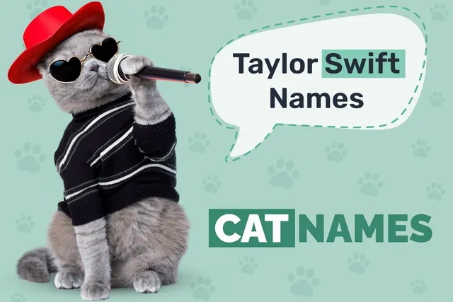 107 Taylor Swift-Inspired Cat Names for Your Musical Kitten