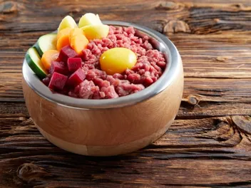 Raw Food Diet for Cats: Vet-Approved Pros & Cons
