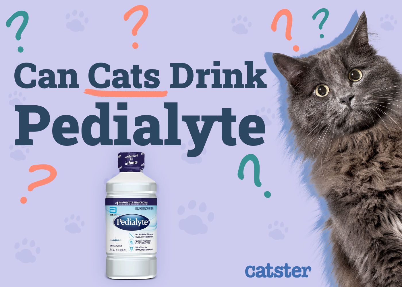 Can Cats Drink Pedialyte