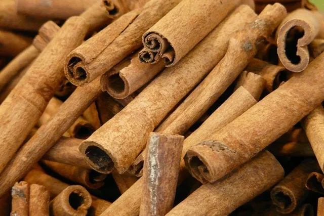 Does Cinnamon Keep Cats Away? Vet Approved Facts & FAQ