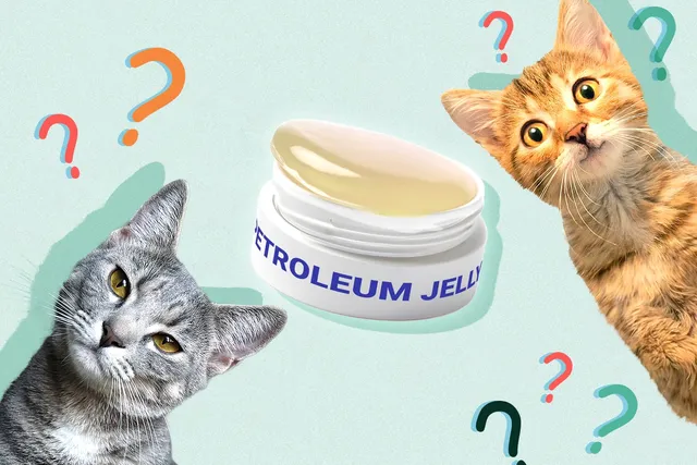 Vaseline for Cat Hairballs? What Vets Want You to Know First