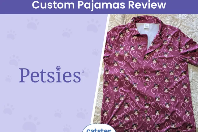 Petsies Custom Pajamas Review 2026: Our Expert's Opinion