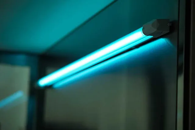 Does UV Light Kill Fleas on Cats? Vet-Reviewed Effectiveness, Safety & Alternatives