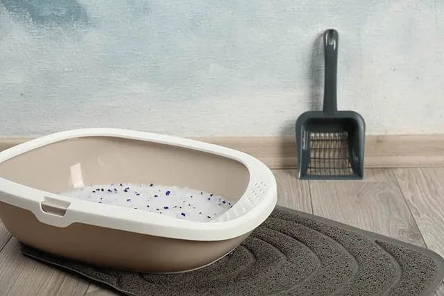 10 Essential Cat Litter Box Accessories to Get You Started