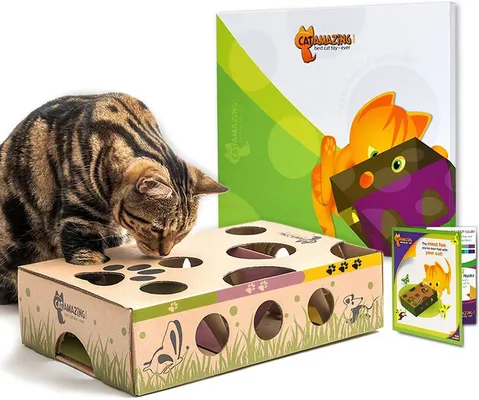 Cat Amazing Interactive Treat Maze &amp; Puzzle Toy