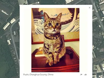 We Chat With Owen Mundy About His Controversial Site, "I Know Where Your Cat Lives"