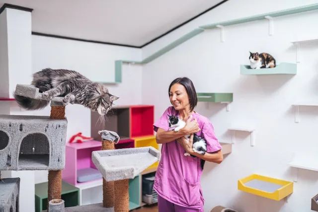How to Help Animal Shelters: 10 Ways to Consider