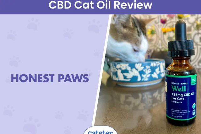 Honest Paws Well CBD Oil Tincture for Cats Review 2026: What Our Tests Revealed