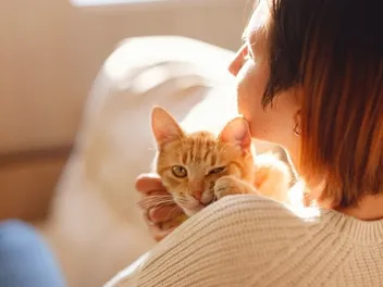 Cat Supplies Prime Day Deals: Our Favorites in 2026