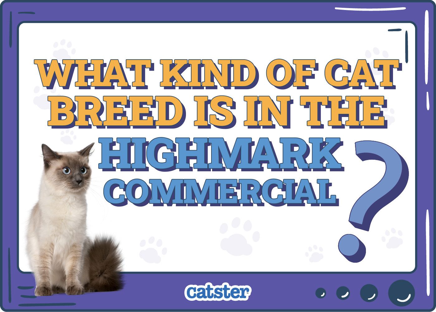 Catster_What Kind of Cat is in the highmark commercial