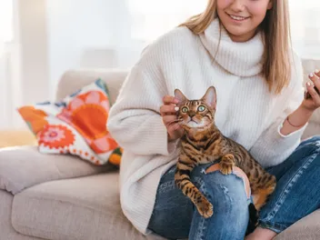 Do Bengal Cats Like to Cuddle? Vet-Reviewed Breed Preferences Explanation