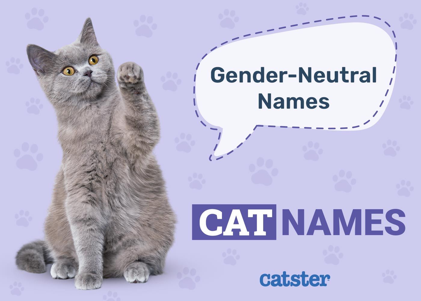 Unisex & Gender Neutral Cat Names