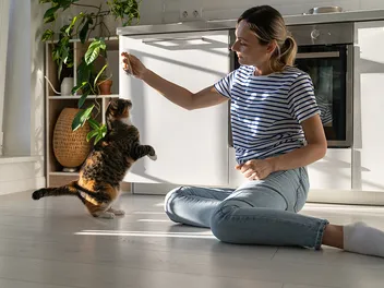 Can Cats Be Trained Like Dogs? Vet-Approved Tips & Tricks