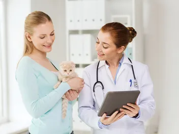 What Exactly Is Osteochondrodysplasia in Cats? Our Vet Explains the Causes, Signs & Care