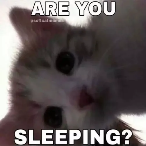 Wakey, Wakey