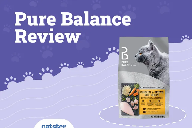 Pure Balance Cat Food Review in 2026: Recalls, Pros & Cons