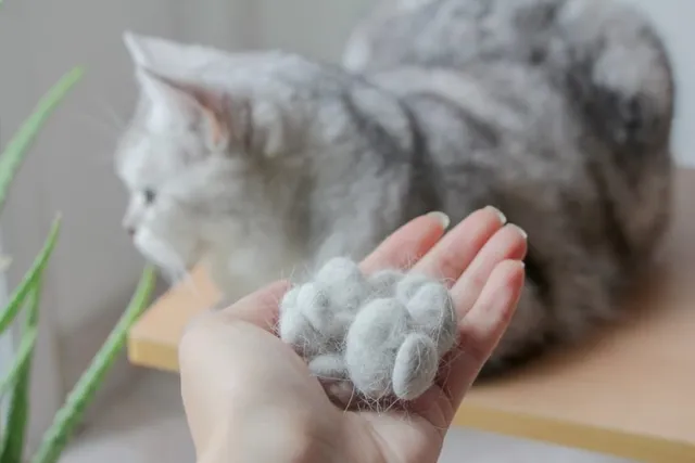 How to Deal With Cat Hair in Your Home: 10 Helpful Ways