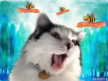 Oreo, Once a Stray, Gets His Own Book to Help Other Cats