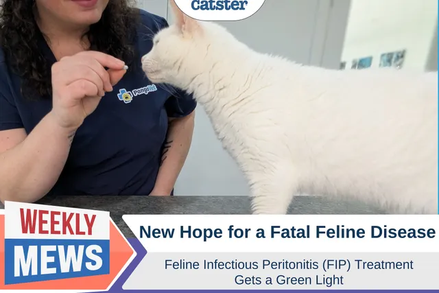 New Hope for a Fatal Feline Disease: Feline Infectious Peritonitis (FIP) Treatment Gets a Green Light