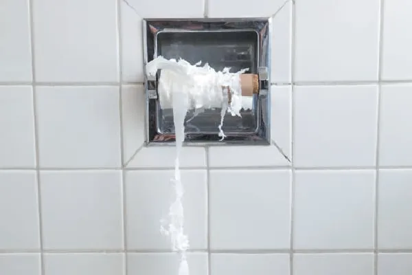 Unraveled roll of toilet paper.