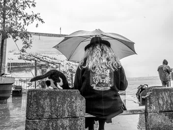 Capturing Catstanbul