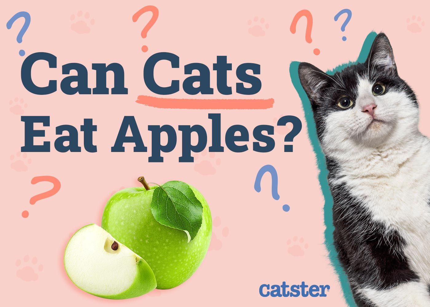 Can Cats Eat Apples