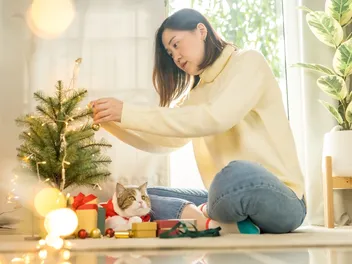 How to Reduce Stress in Cats Over the Holidays: 10 Vet Approved Tips