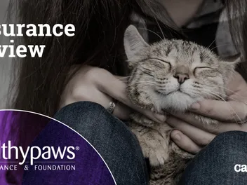 Healthy Paws Pet Insurance Review in 2026: Pros, Cons & Verdict