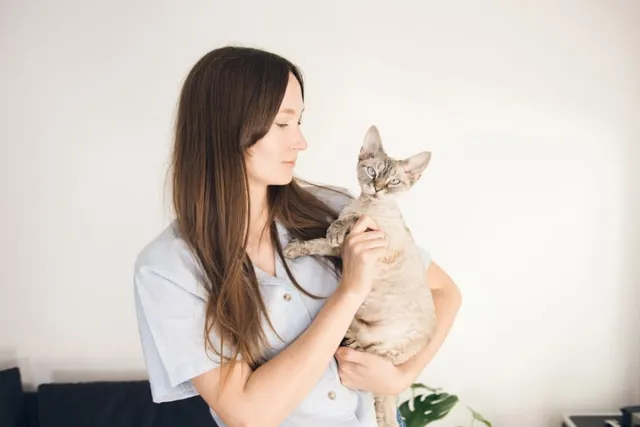 6 Tips for Finding a Cat Sitter: Considerations & FAQ