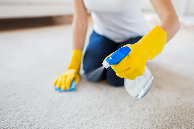 6 DIY Homemade Cat Urine Stain & Odor Removers You Can Make Today
