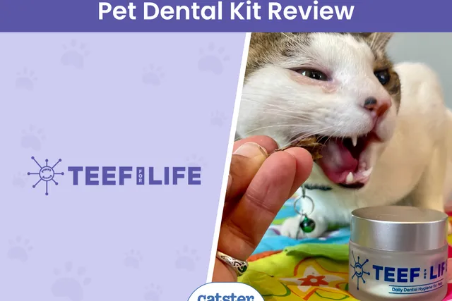 TEEF for Life Protektin30™ Review 2026: Our Hands-On Experience