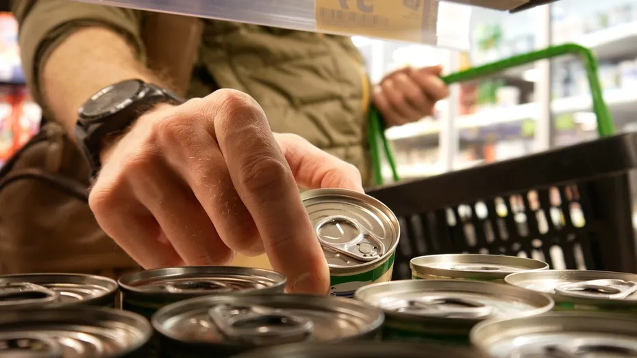 Choosing Can Cat Dog Food