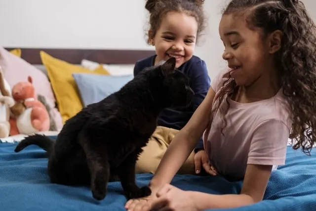 Why Does My Cat Hold My Hand? 4 Common Reasons (Vet-Verified)