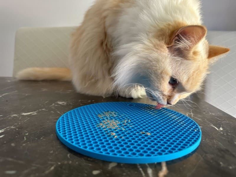 What's a Lick Mat & Does It Help Cats? Pros, Cons & FAQ