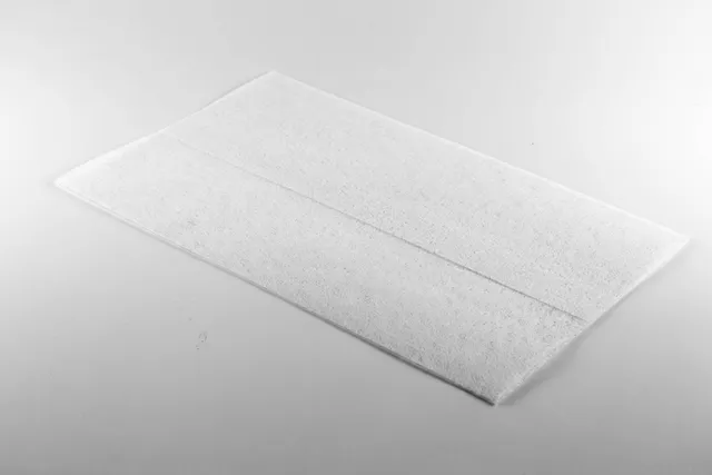 Why Do Cats Like Dryer Sheets? Vet-Reviewed Causes & Safety Precautions
