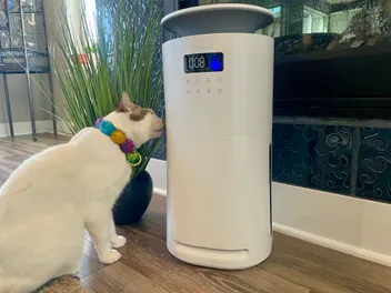 Provirtec Pawtent Ultra Air Purifier Review 2026: Our Expert’s Opinion