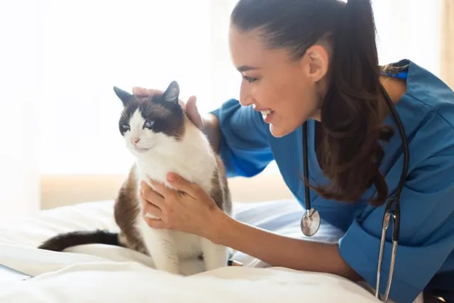 Vet Nurse Day 2026: Everything You Need to Know